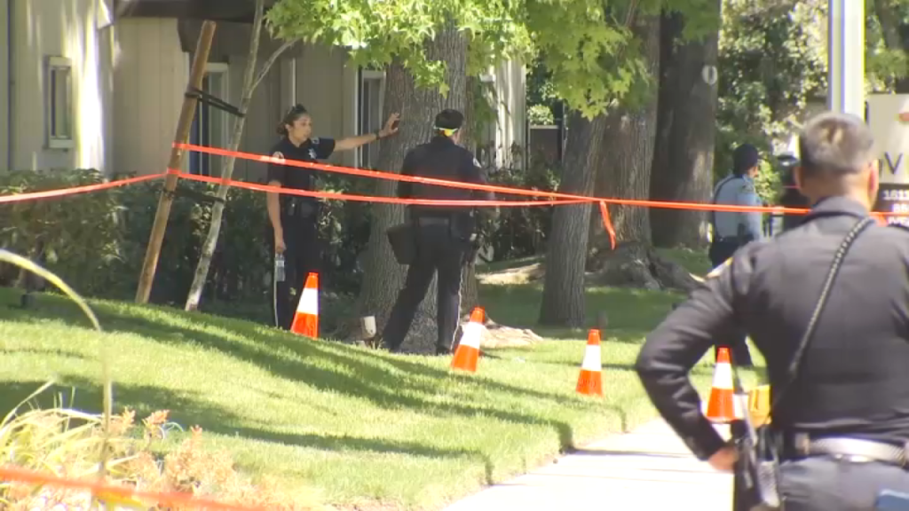 arrestan a sospechoso de apuñalar a niño y a su abuela