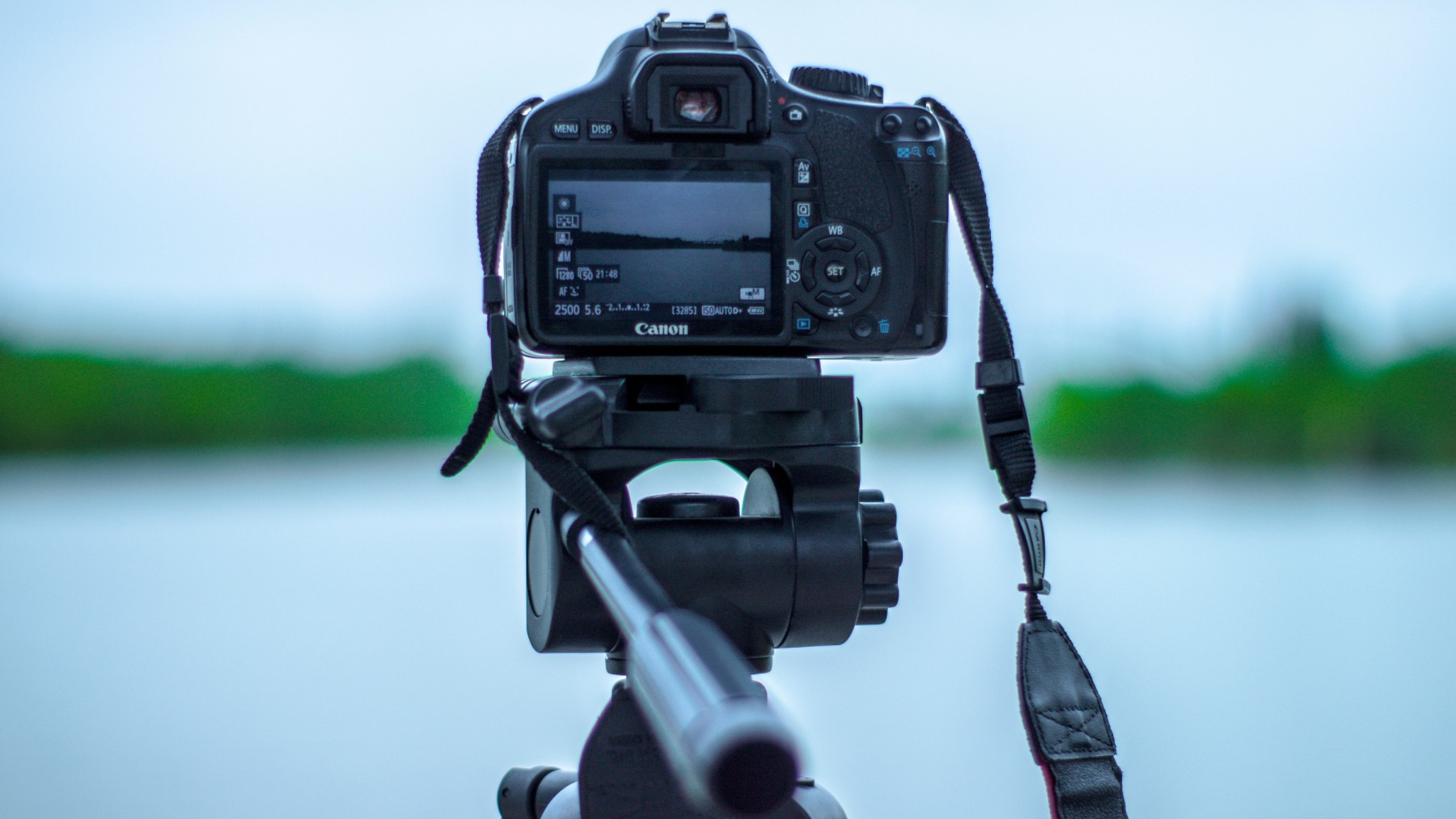 graban lo que pasa en una terraza de Noruega y la gente alucina