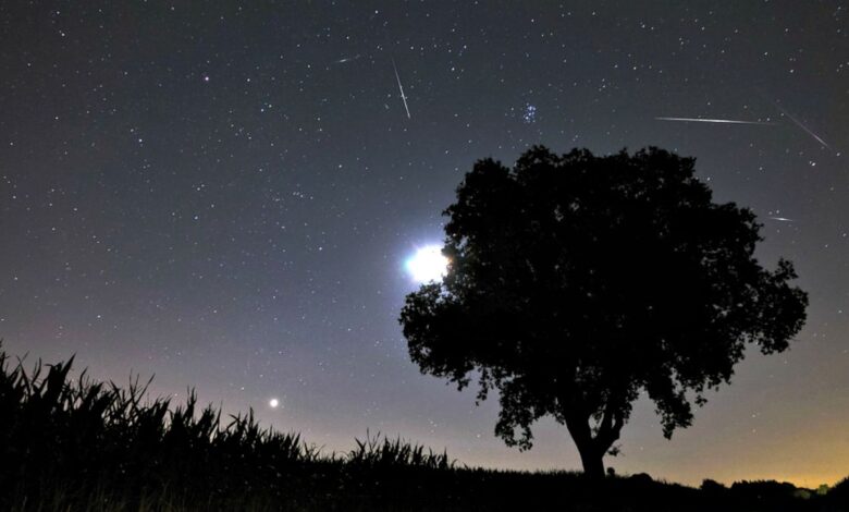 lluvia de estrellas para este 12 y 13 de agosto