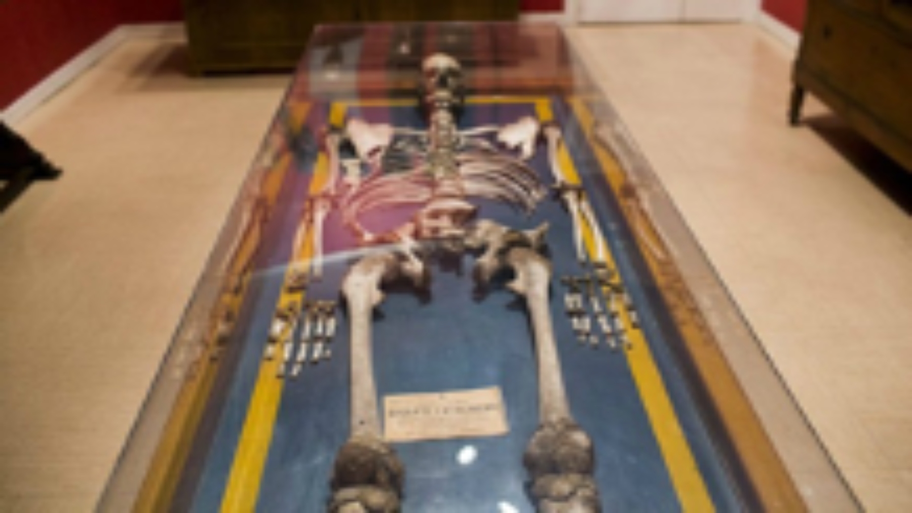 los 2,35 metros del extremeño Agustín Luengo