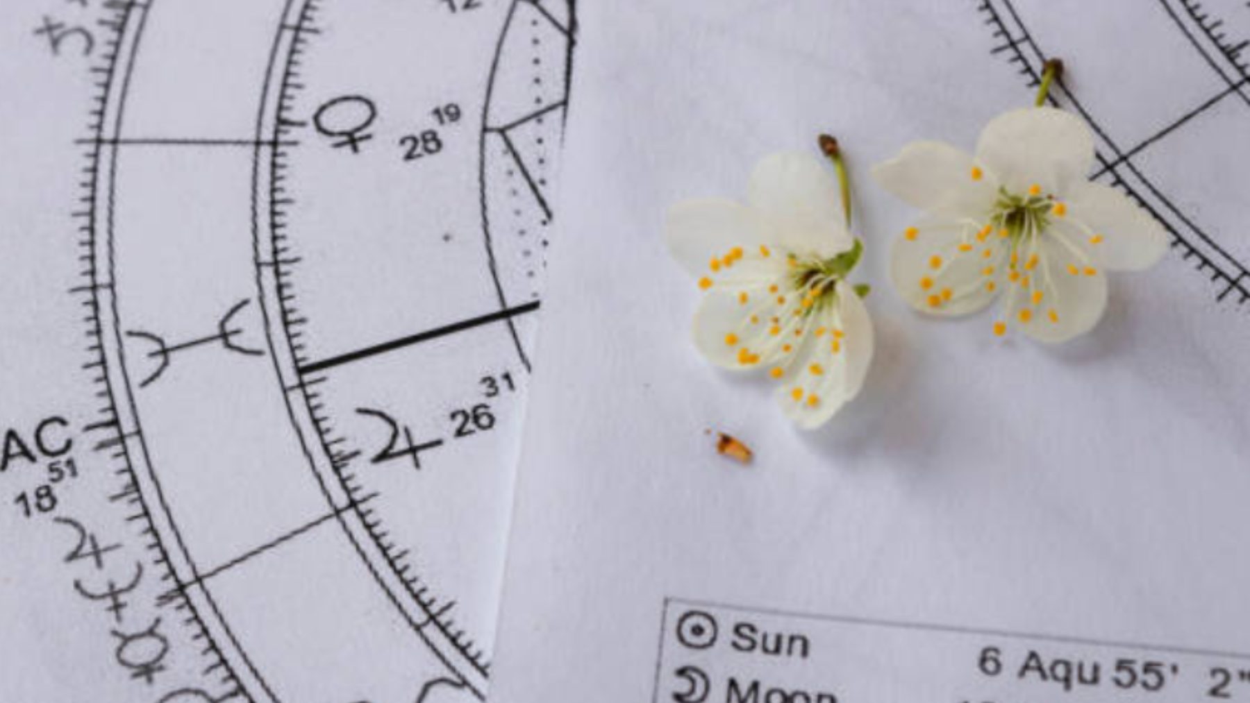 qué significa y cómo calcular cuál es el tuyo