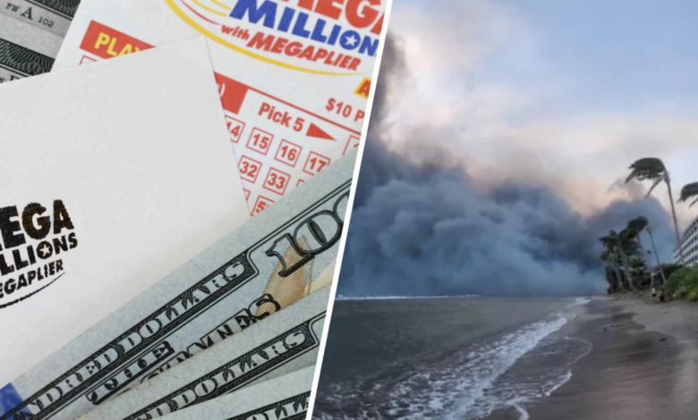¿Quién se ganó el Mega Millions? Y otras noticias insólitas