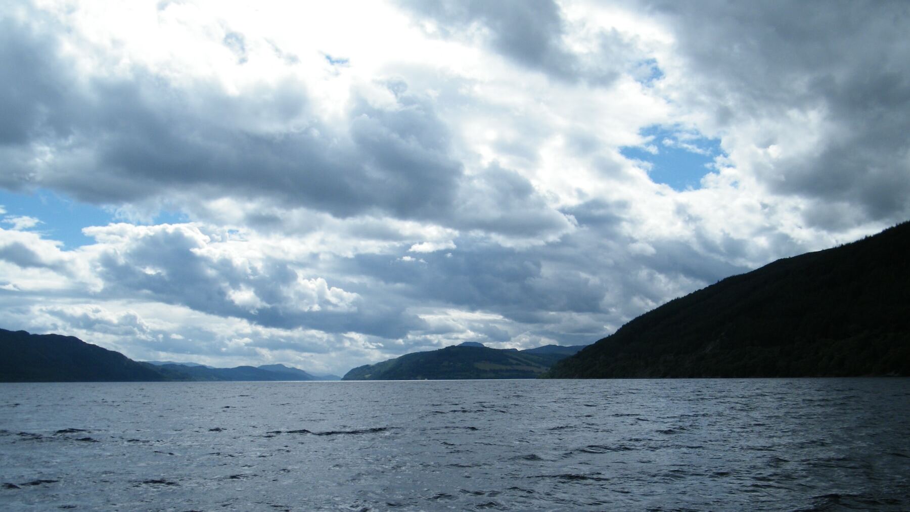 ¿monstruo o rana gigante? Los científicos tienen sus propias teorías