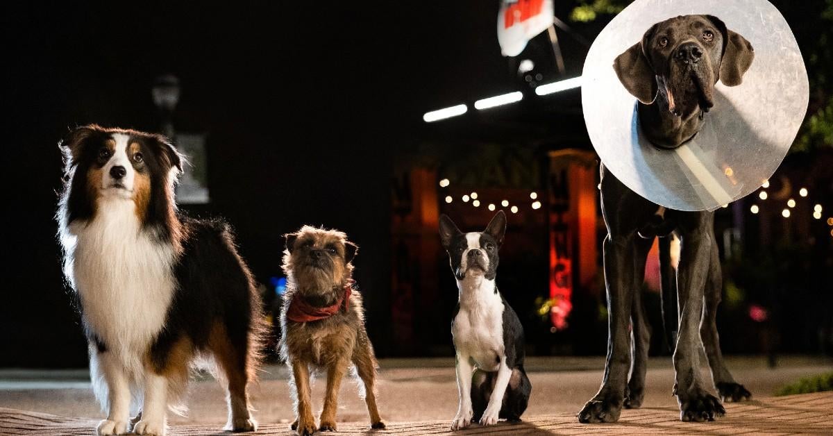 extraviados.jpg extraviados.jpg