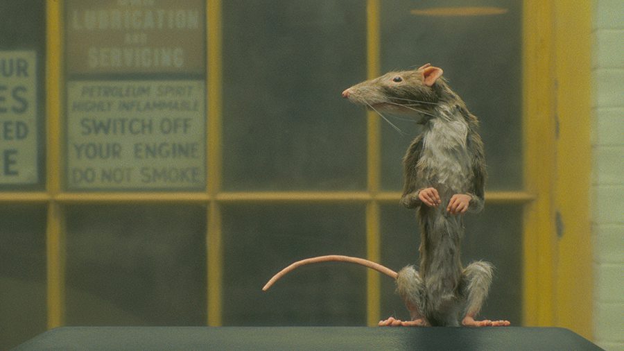 el cazador de ratas netflix corto wes anderson el cazador de ratas netflix corto wes anderson