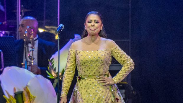 concierto Isabel Pantoja, Anabel Pantoja