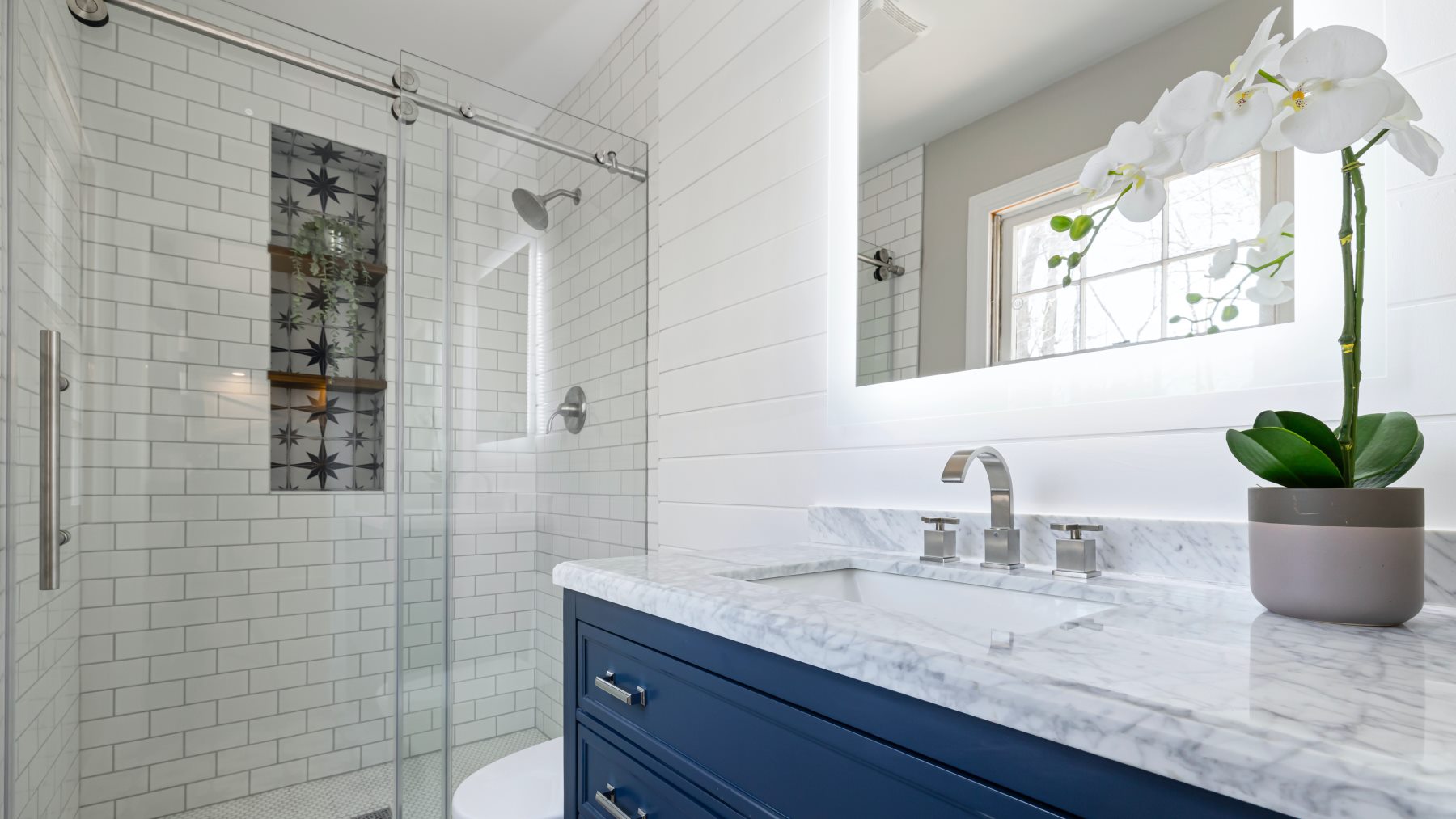 Acaba con la humedad en tu baño de un plumazo con la planta que toda casa debe tener