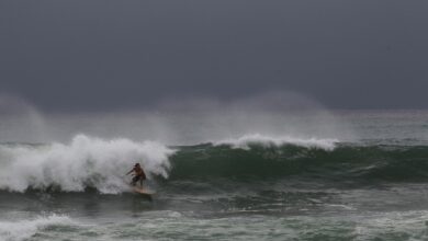 Ahora, tiburón muerde en la cara a surfista en Florida