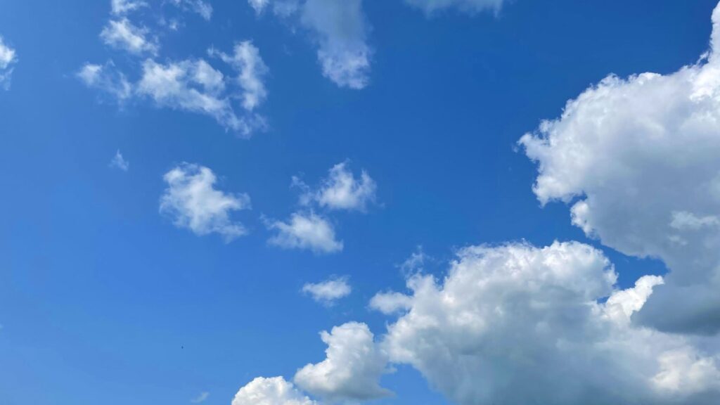 Bluesky registró un uso récord después de que Elon Musk anunciara planes para cobrar a todos los usuarios de X