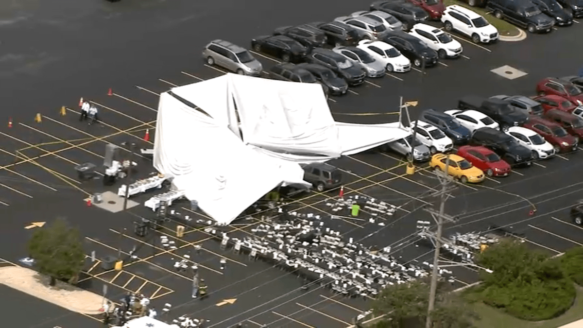 Colapsa carpa en Bedford Park