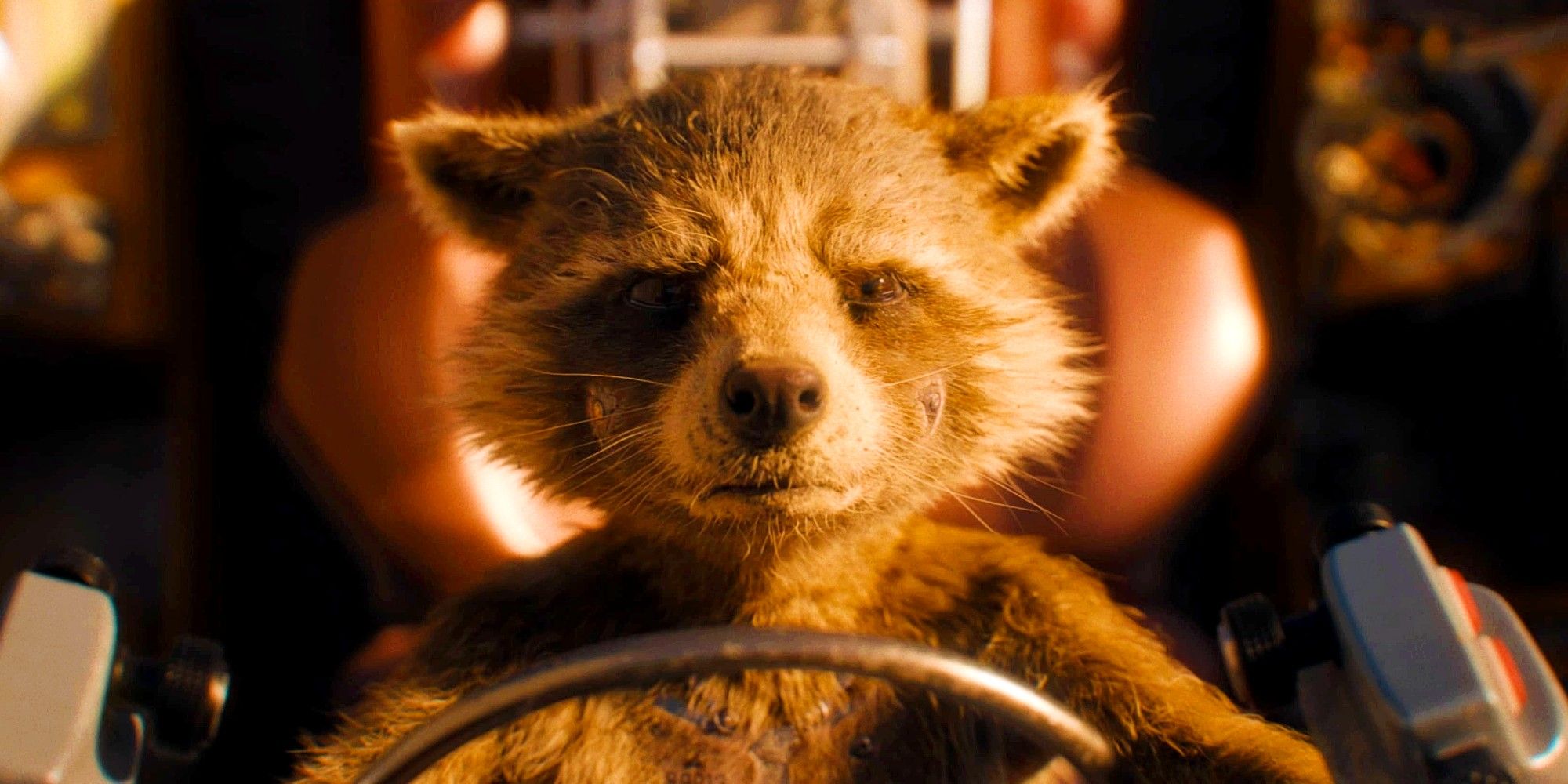 El director de la Fase 5 quiere que Marvel haga el spin-off Baby Rocket del MCU
