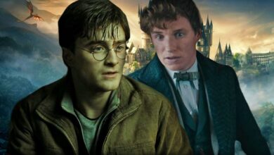 El director ejecutivo de Warner Bros comparte pensamientos sinceros sobre el futuro de la franquicia de Harry Potter después del fracaso de Animales fantásticos