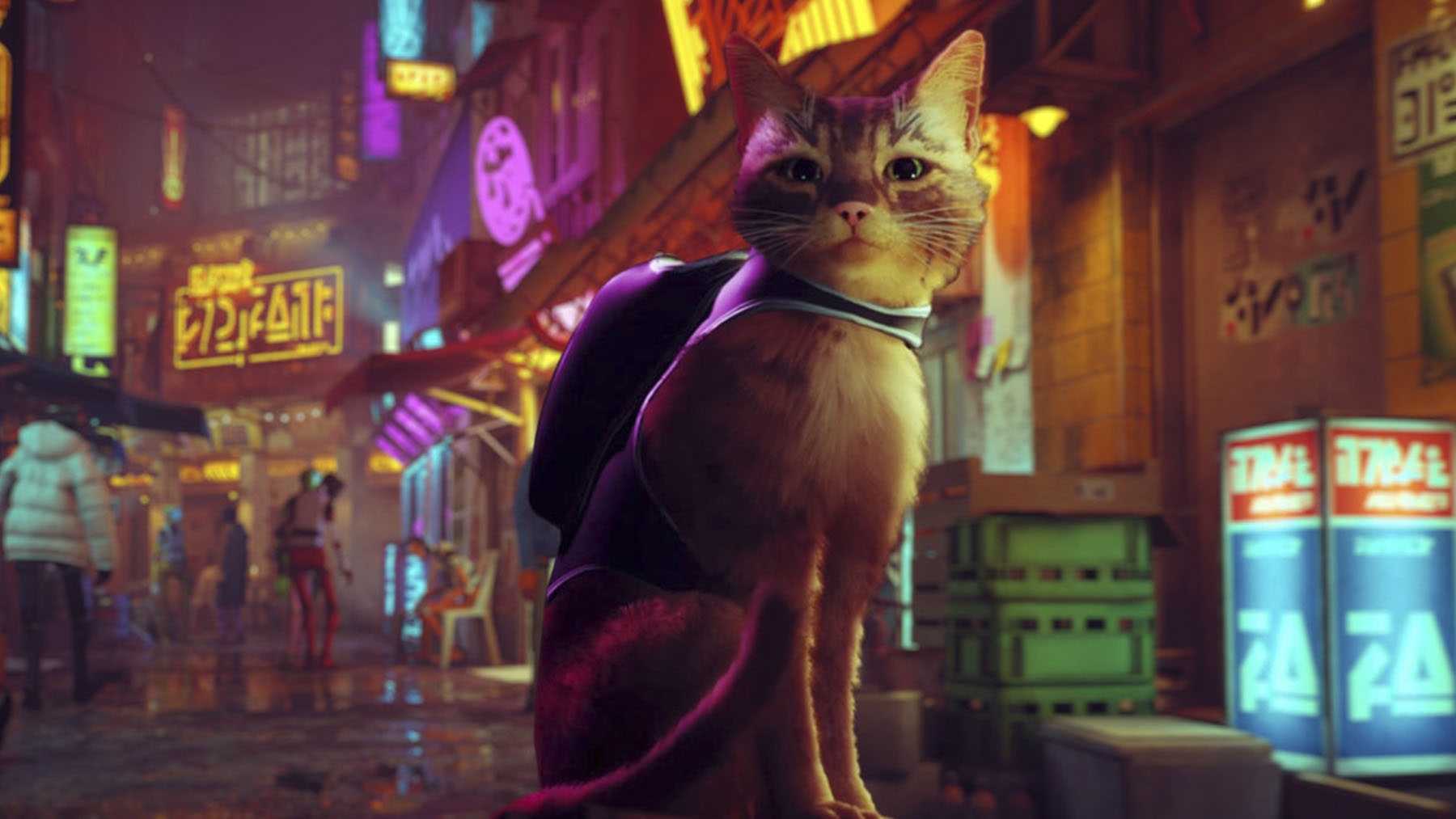 El videojuego ‘Stray’ tendrá una adaptación a la gran pantalla