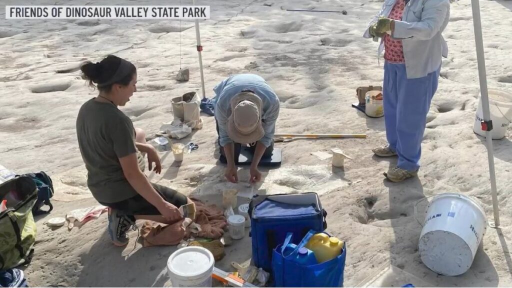 Encuentran nuevas huellas en el parque estatal Dinosaur Valley en Glen Rose