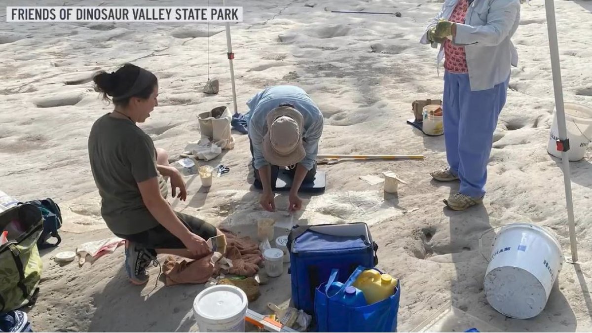 Encuentran nuevas huellas en el parque estatal Dinosaur Valley en Glen Rose