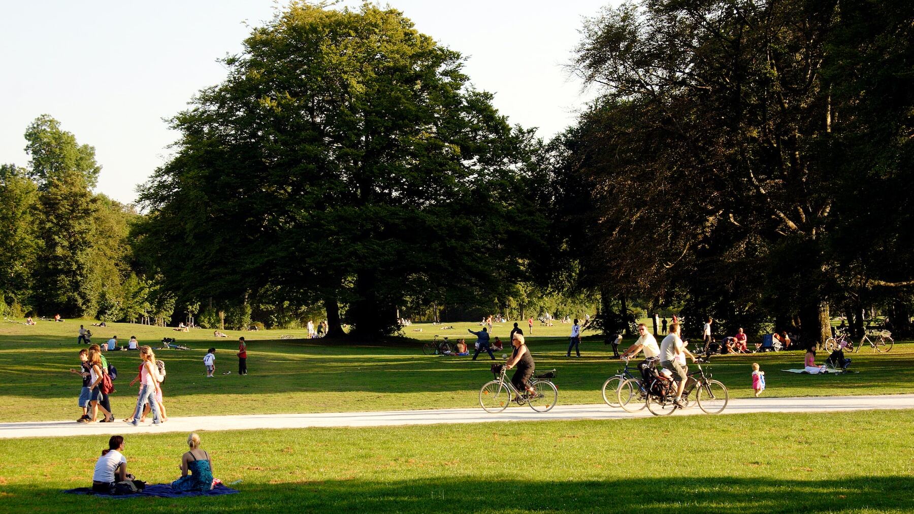 Era un trabajo hace unos años y ya no sabemos dónde están en los parques. Han desaparecido por completo