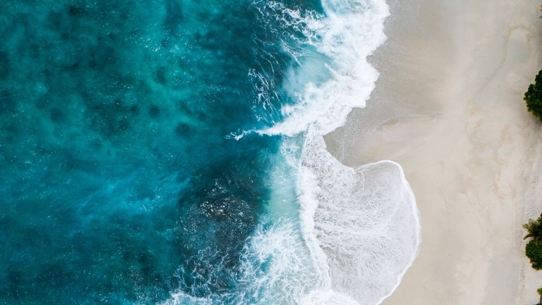 Éste es el motivo por el que está cambiando el color de los océanos: la razón es muy trágica