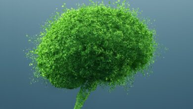 Financiar soluciones climáticas: ¿de manera fácil o de manera impactante?
