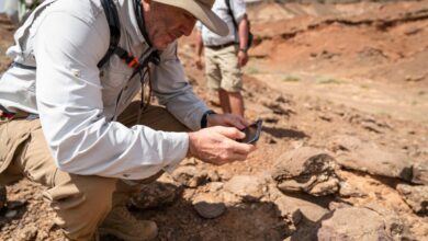 La nueva aplicación de Voiijer ofrece una comunidad social para exploradores y amantes de la naturaleza