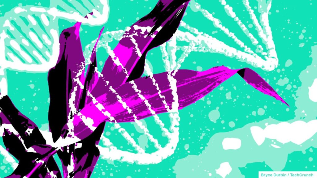 La puesta en marcha de IA acelera la creación de cultivos resilientes al clima