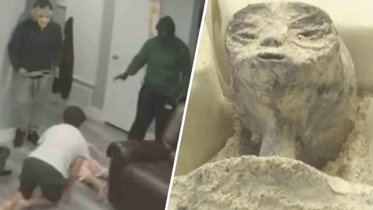 Llama al 911 escondida en un closet, y los extraños y arrugados “seres no humanos” de México