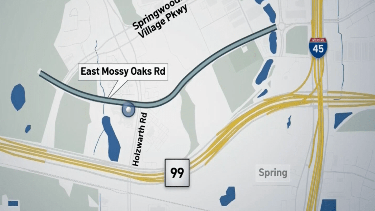 Mujer de Houston muere intentando ayudar a víctima de abuso