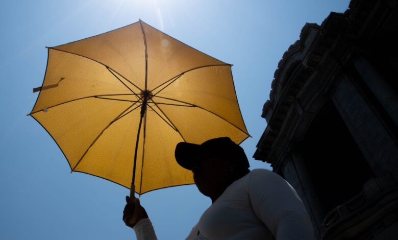 Olas de calor mortales pasarán de ser extrañas a recurrentes