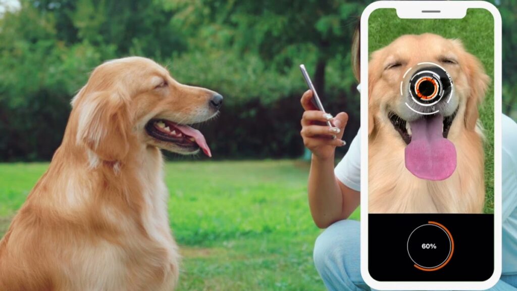Petnow afirma poder identificar perros y gatos por sus hocicos