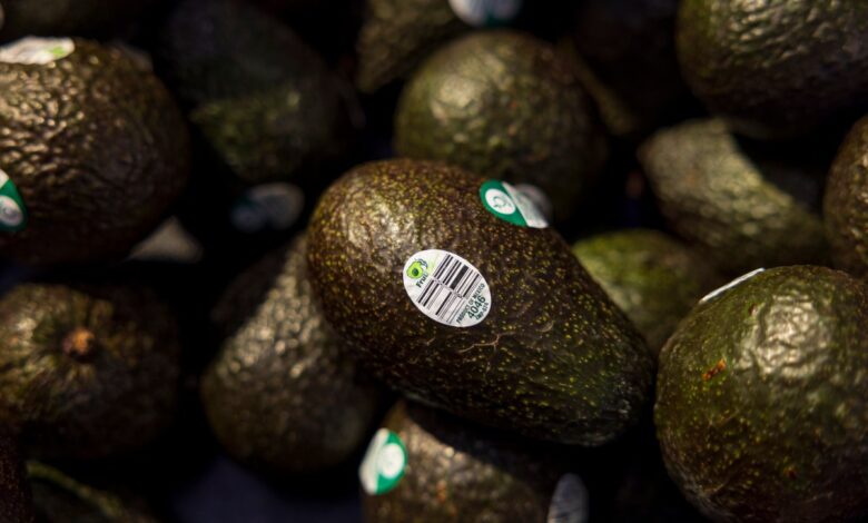 PureSpace evita que los productos agrícolas se echen a perder eliminando el gas de maduración