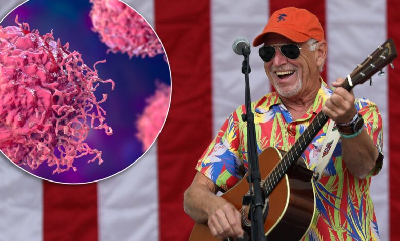 Qué es el carcinoma de células de Merkel, el cáncer que mató al cantante Jimmy Buffett