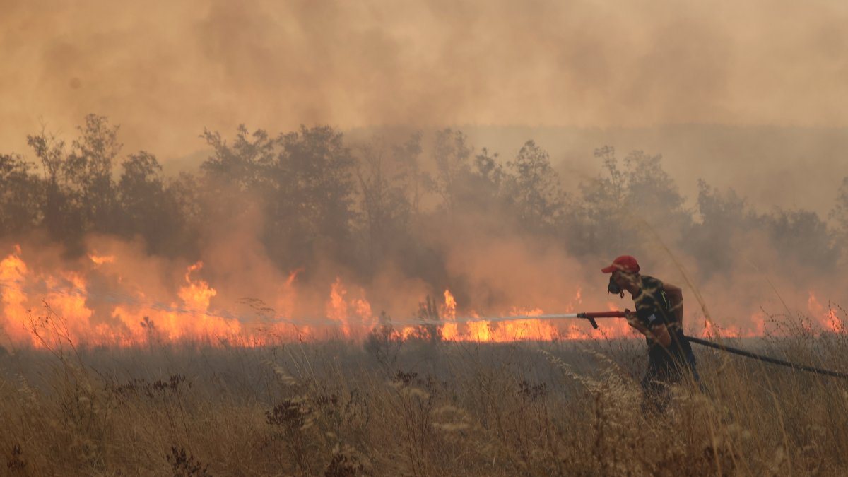 Rescatan a 25 migrantes atrapados en un bosque en llamas en Grecia