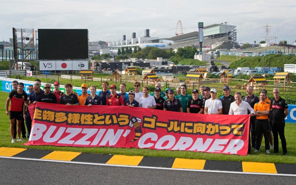 Sebastian Vettel, de piloto de F1 a protector de abejas | Video