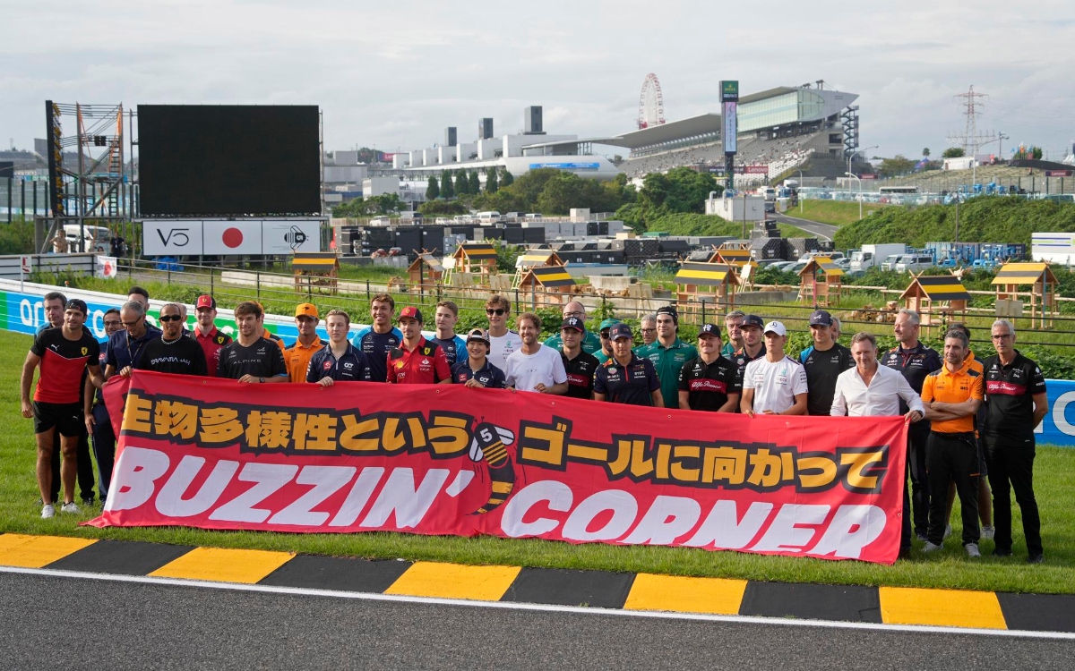 Sebastian Vettel, de piloto de F1 a protector de abejas | Video