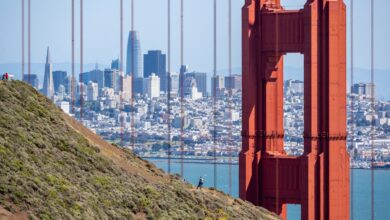 Selecciones de TechCrunch+: 9 libros ambientados en San Francisco