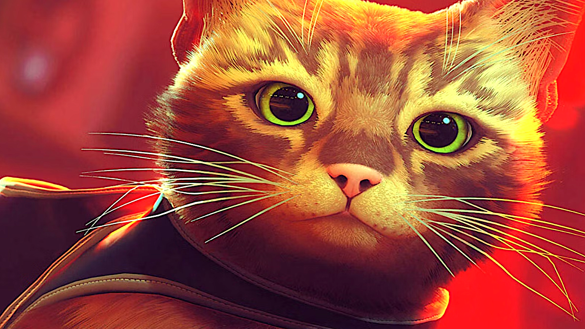 Stray está obteniendo una adaptación cinematográfica