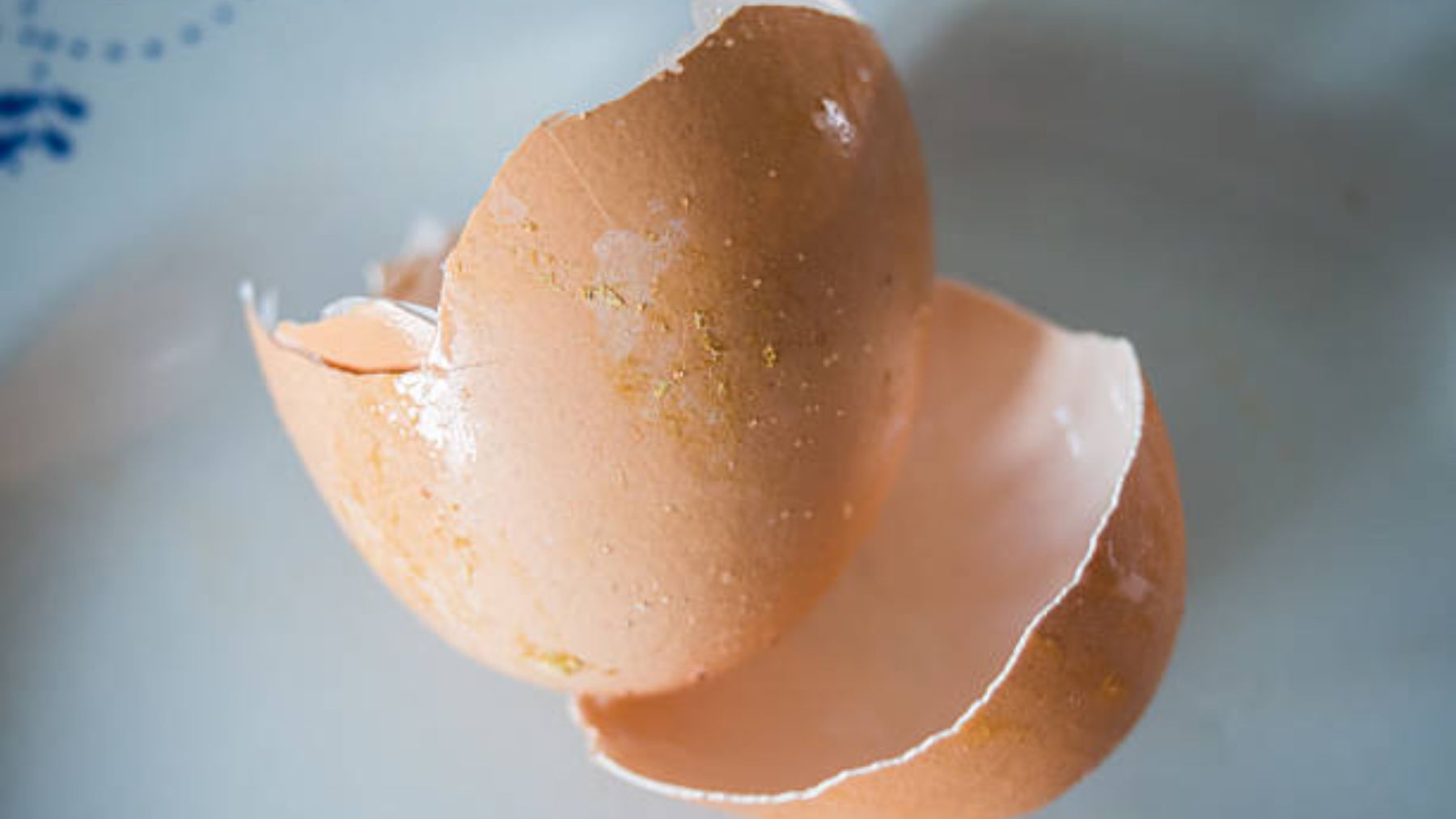 Todo el mundo está poniendo cáscaras de huevo en la lavadora y tiene sentido