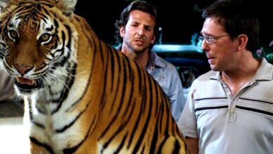 Un experto en grandes felinos revela algunas duras verdades sobre el uso de los tigres durante la resaca