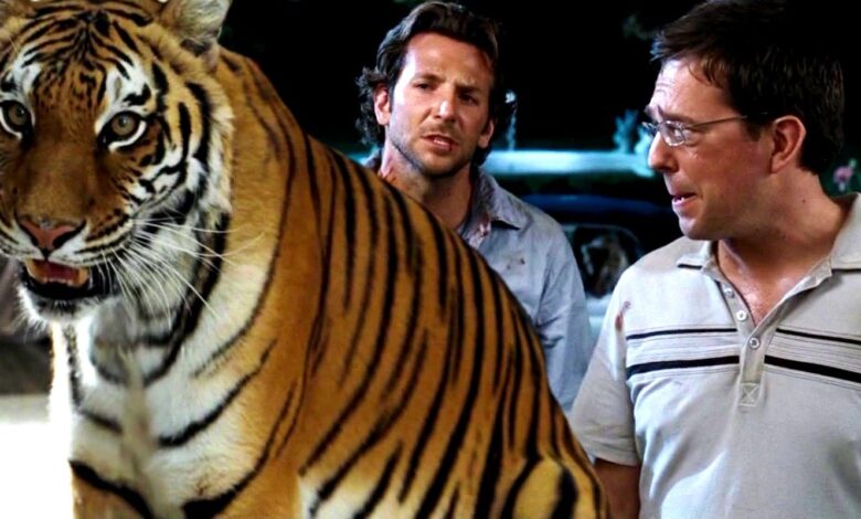 Un experto en grandes felinos revela algunas duras verdades sobre el uso de los tigres durante la resaca