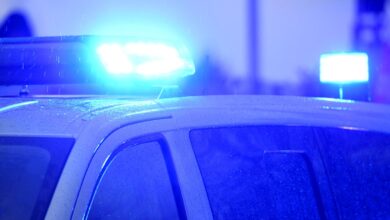 arrestan a padres tras hallar cucarachas en mochila de un hijo