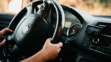 dos niños roban el auto de su madre y los detienen a 200 millas de su casa