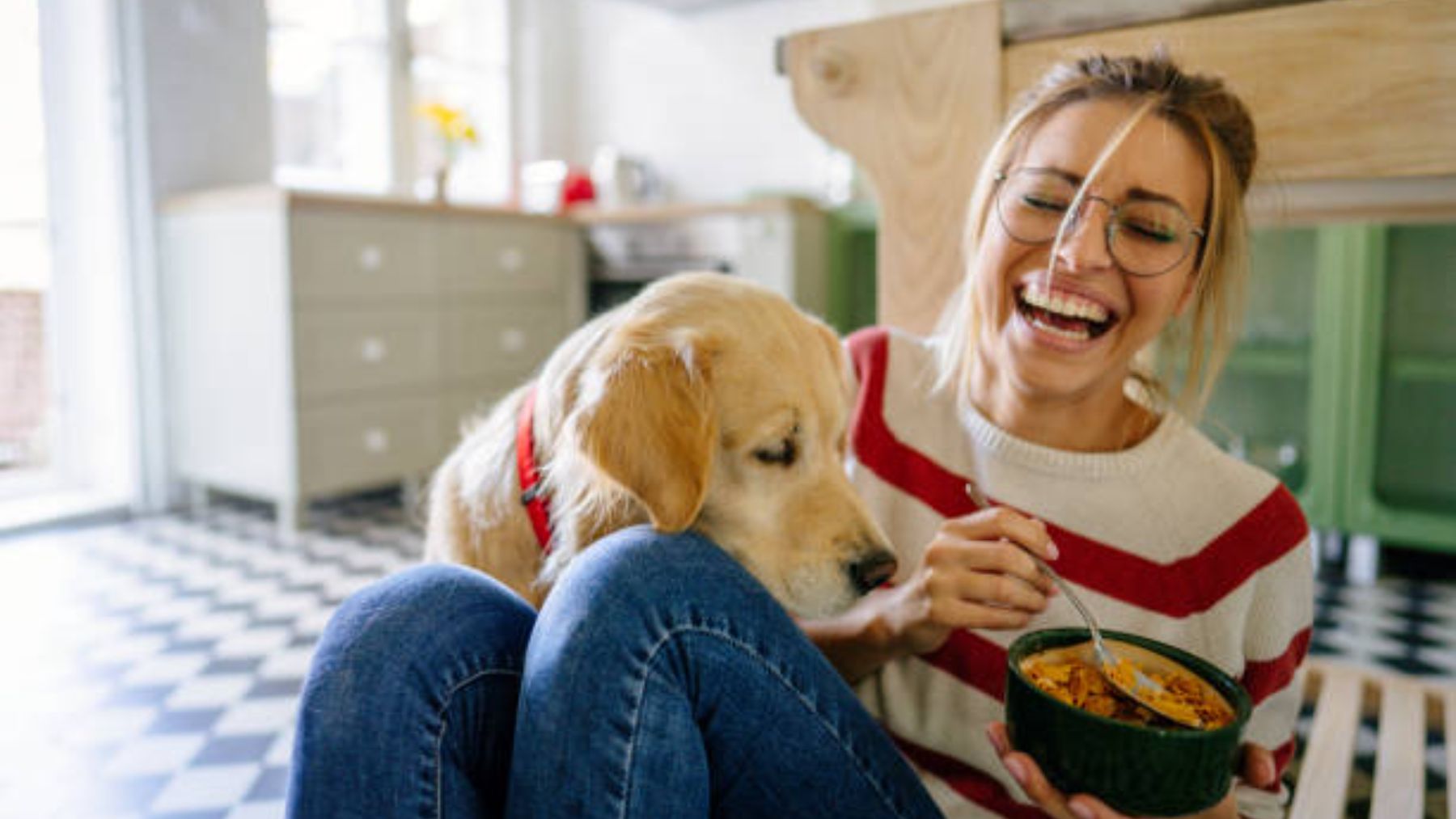 estos son los errores que cometes cuando tienes perro