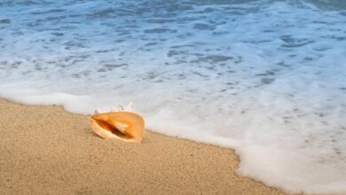 ¿Cuál es la playa más fría de toda España?