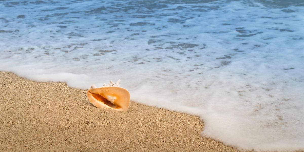 ¿Cuál es la playa más fría de toda España?