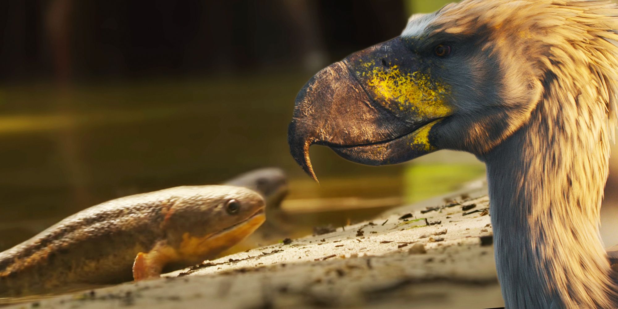 5 cosas que aprendimos de los clips de la vida en nuestro planeta y el evento de conversación