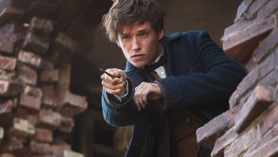 Animales fantásticos 4 recibe una actualización desalentadora, pero Newt aún podría regresar, dice el director