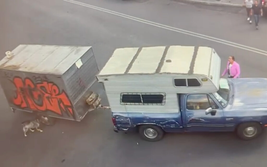 Arrastraba un perrito atado a un remolque y ya fue detenido | Imágenes sensibles