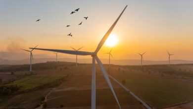 El nuevo fondo de 375 millones de dólares de One Ventures muestra que la tecnología climática todavía está de moda
