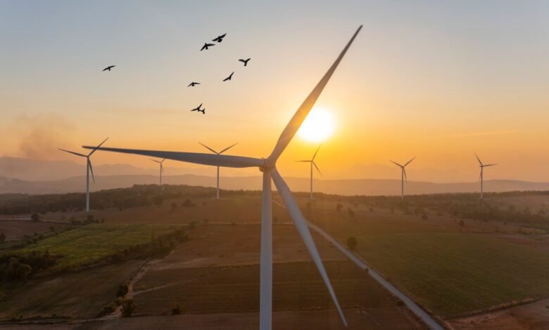El nuevo fondo de 375 millones de dólares de One Ventures muestra que la tecnología climática todavía está de moda