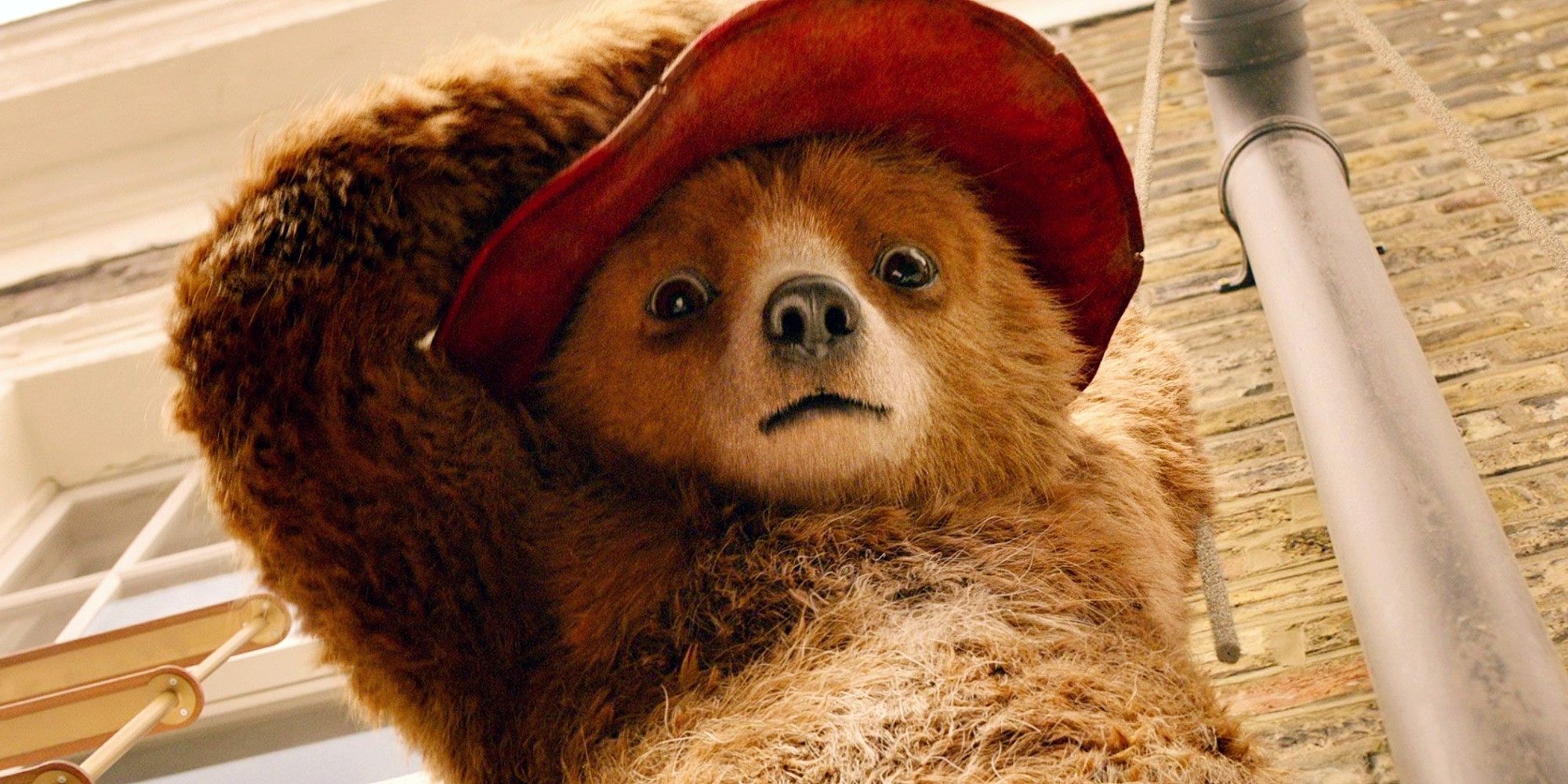 El video teaser de Paddington 3 revela su regreso a Perú, fecha de lanzamiento en 2025