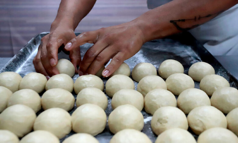 Empresa canadiense busca panaderos y ofrece 37 mil pesos al mes